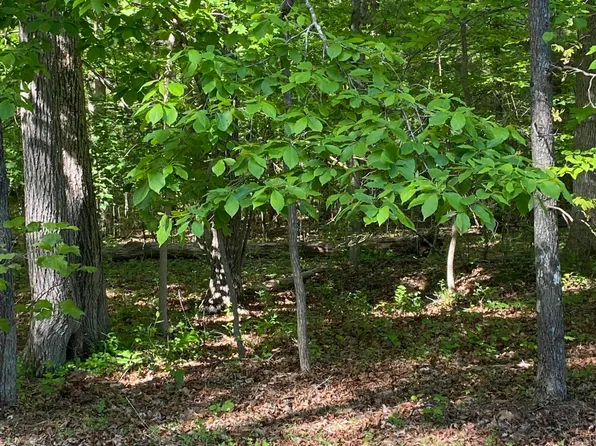 4035 Kila Dr, Crossville, TN 38572