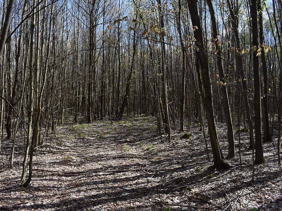 1st image of Hellings Ln