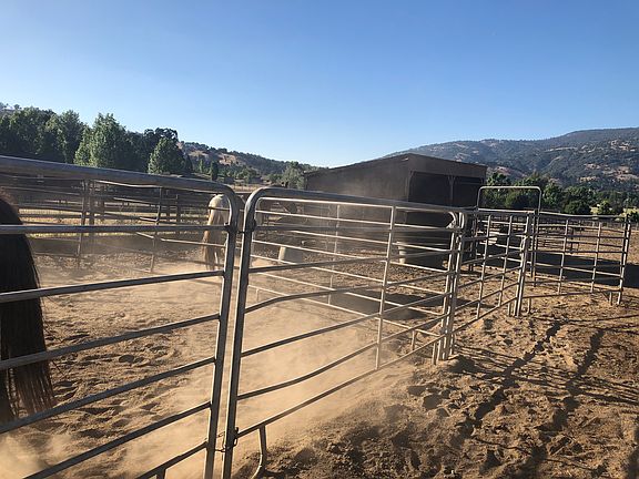 Horse shelters in back yard.