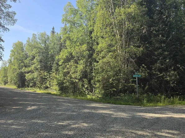 Nhn Lauesen Ave, North Pole, AK 99705