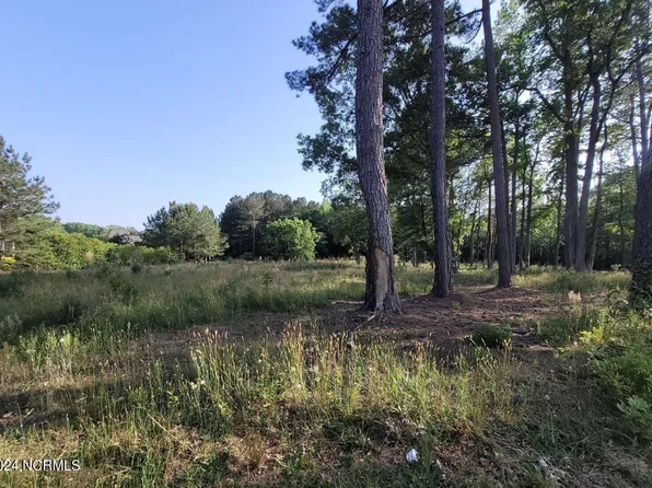 00 Schooners Road, Bailey, NC 27807