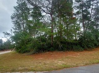 SW Eighteen Avenue Rd LOT 1, Ocala, FL 34473