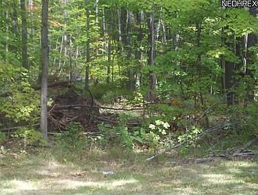 2nd image of 17450 Rock Creek Rd