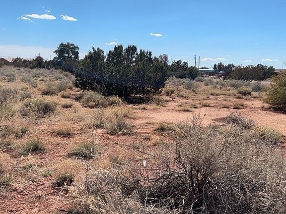 4th image of 1014 E Laramie Dr #235
