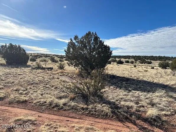 310N W Dusty Rose Rd, Seligman, AZ 86337