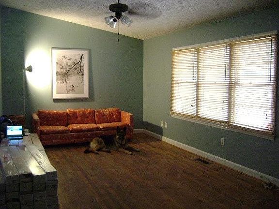big living room with vaulted ceilings