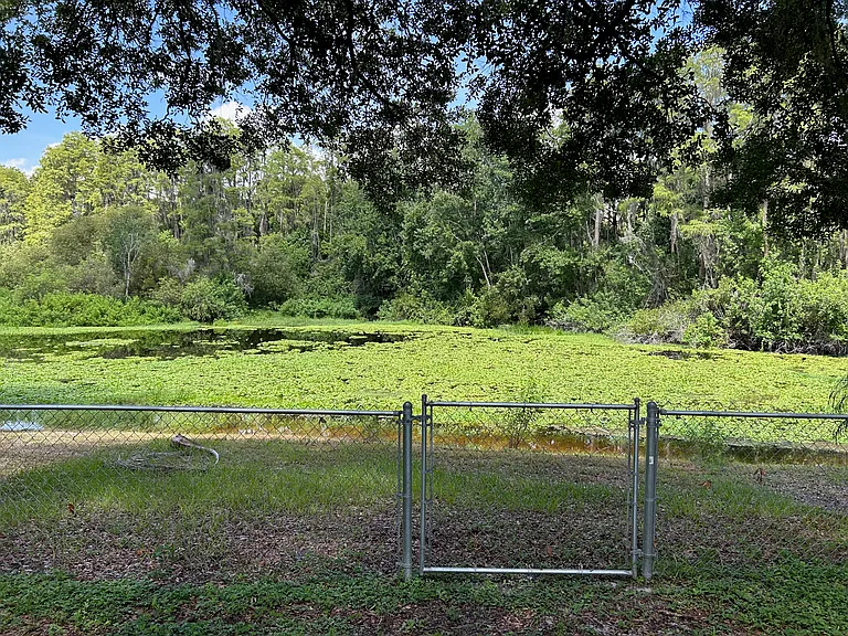 Beautiful view from backyard!