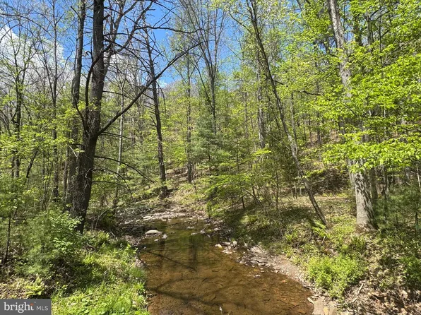 0 Shockeysville Rd, Winchester, VA 22603