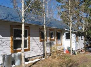 440 W Spring St, Nederland, CO 80466