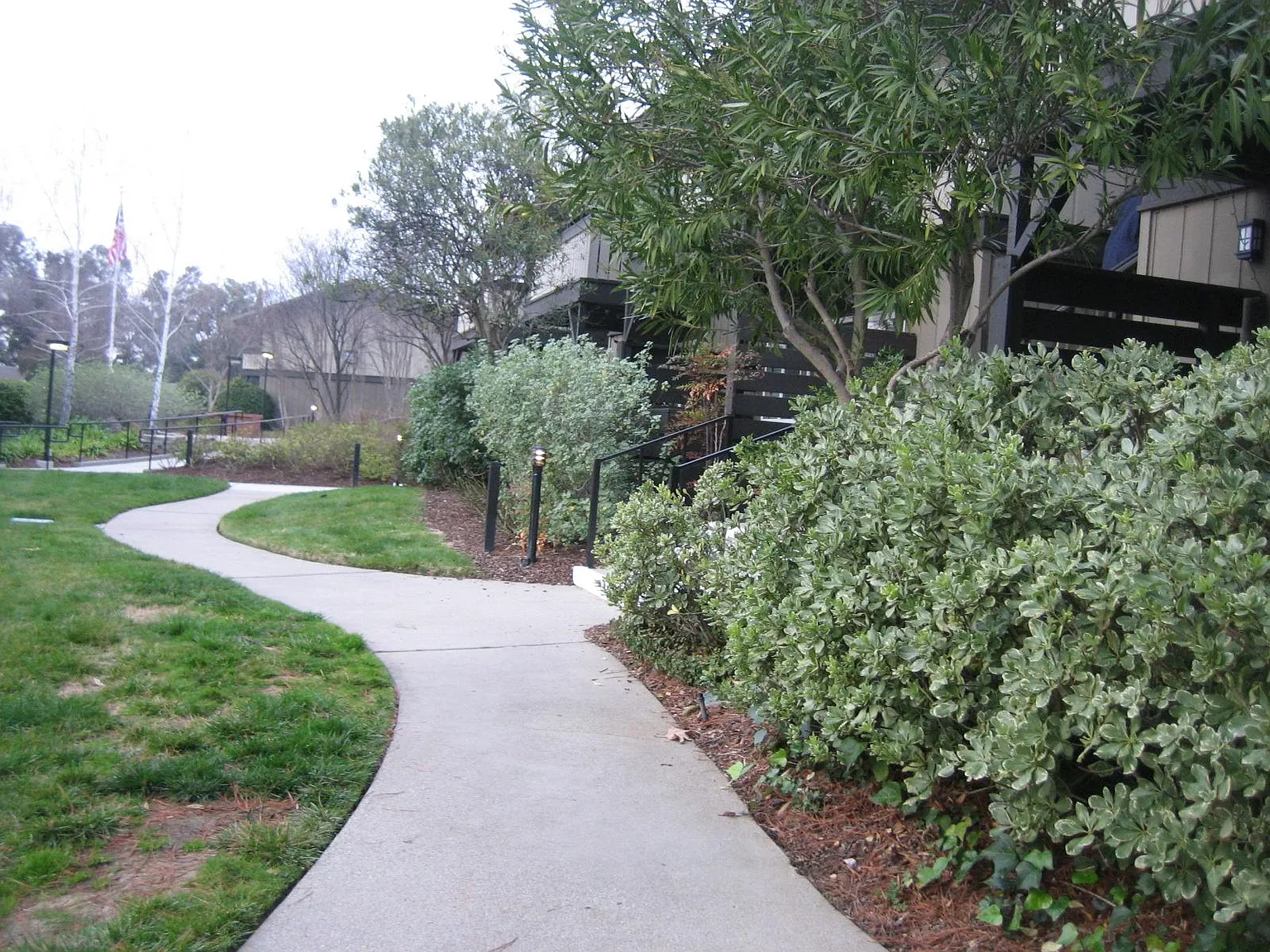 2 bed, 894 sqft, $2,800 — Photo 3