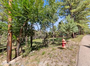 217 Swallow Dr, Ruidoso Downs, NM 88345