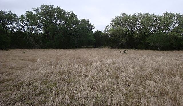 1st image of 33 Town Road Cir #251