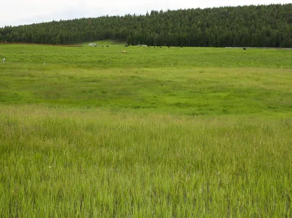 5765 W Kootenai Rd, Rexford, MT 59930