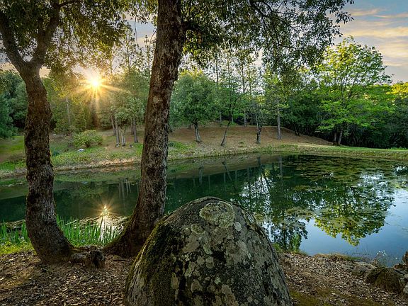 5th image of 10526 Indian Shack Rd