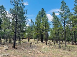 4185 Apache Dr #429, Happy Jack, AZ 86024