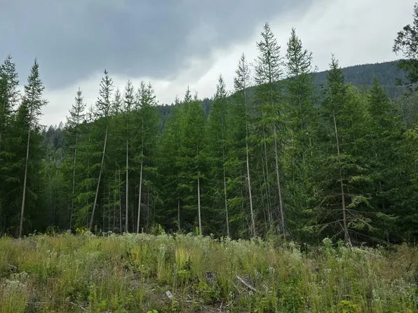 Nna Westside Rd Parcel 10, Bonners Ferry, ID 83805