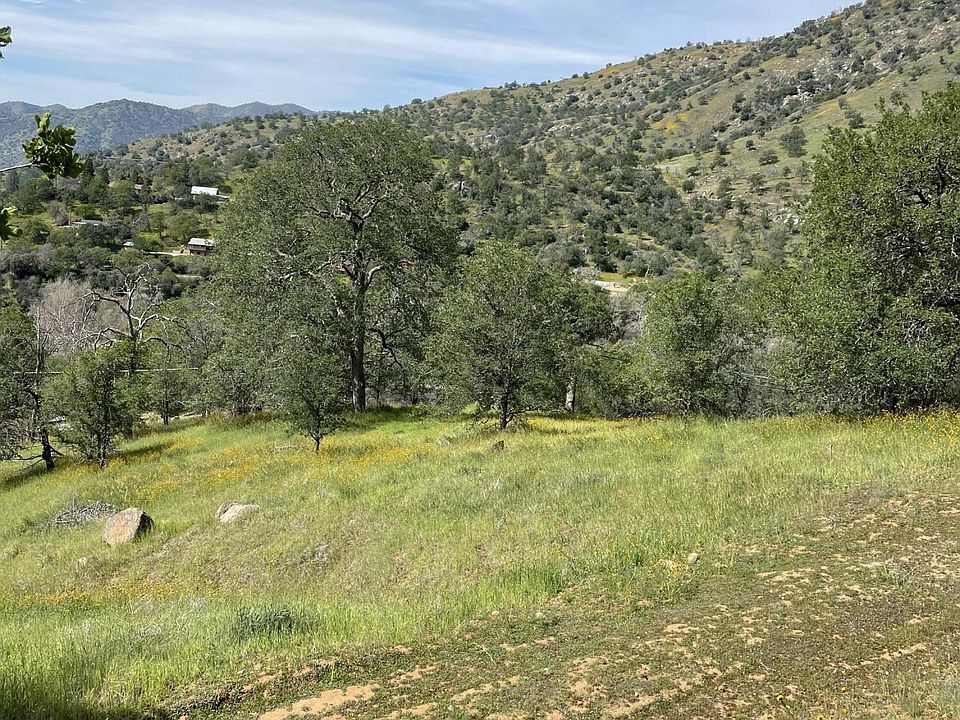 2nd image of Mineral King Rd