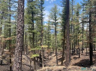 34 Raspberry Ln, Rociada, NM 87742