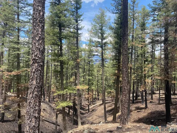 34 Raspberry Ln, Rociada, NM 87742