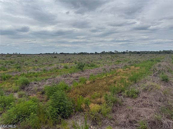 5th image of 7156 6th Rd