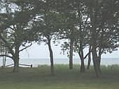 Park like setting along the shoreline with great Lake Huron views!