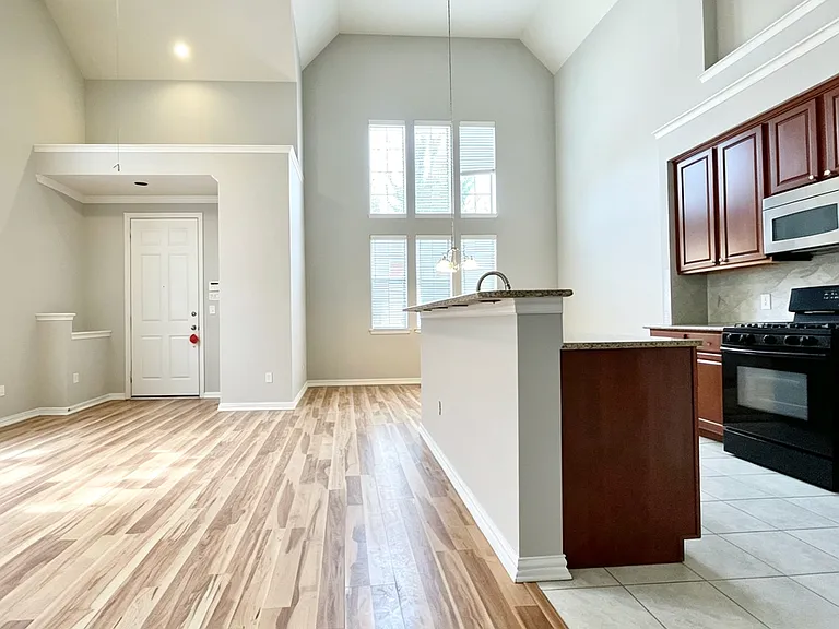 1713 Snow Owl Ct — Photo 6