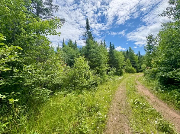 30A Off MINNOW CREEK RD, Gordon Town, WI 54546