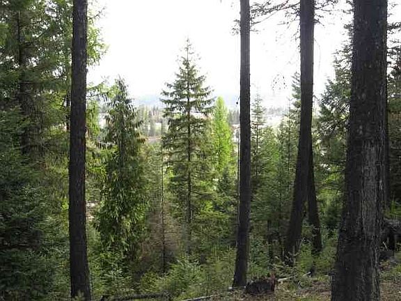 2nd image of 0 Silver Birch Ct