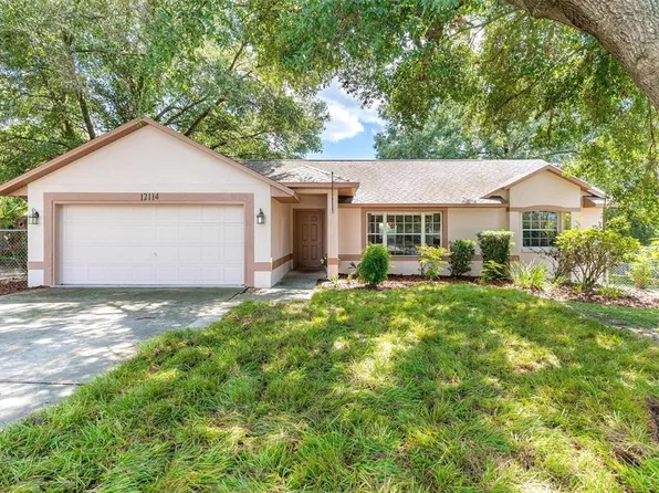 12114 Nest Ct, Grand Island, FL 32735