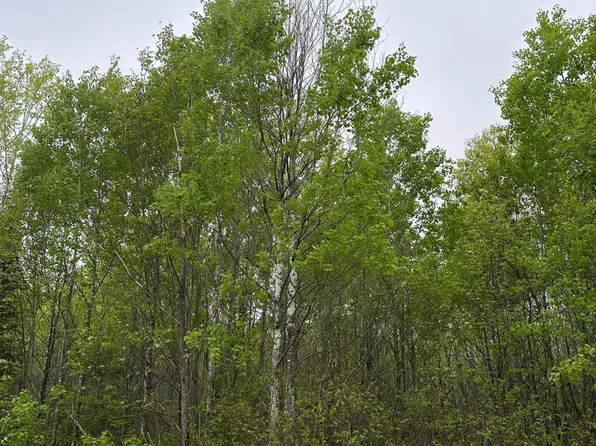 Burrows Lake Rd Lot 10, Tomahawk, WI 54487