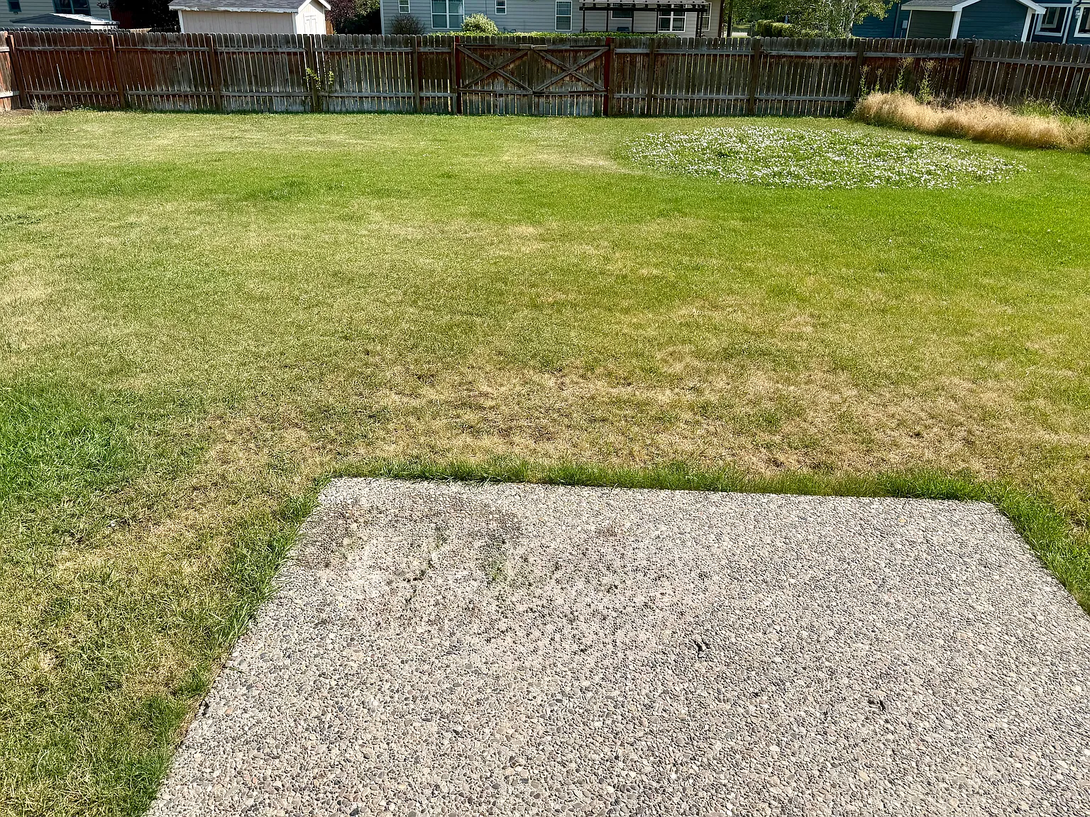 5 bed, 2465 sqft, $4,000 — Photo 4