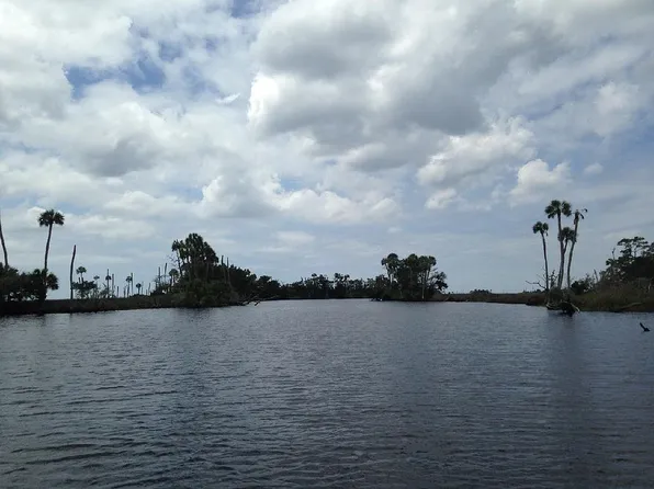 4340 River St, Lamont, FL 32336