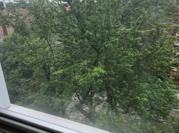 80 Knolls Crescent image 6 of 8