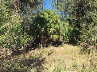 1570 Blue Fish Pl, Geneva, FL 32732