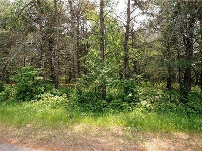 Lot 1 West Winton Road, Springbrook, WI, 54875