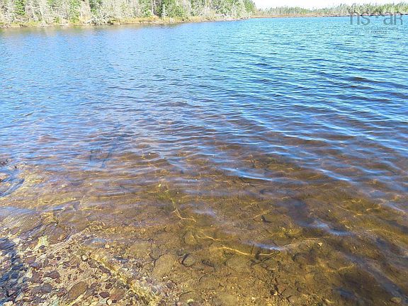 4th image of 31 Belfry Lake Rd