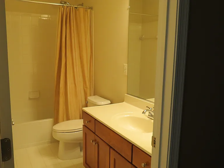 4484 Black Ironwood Dr — Photo 24