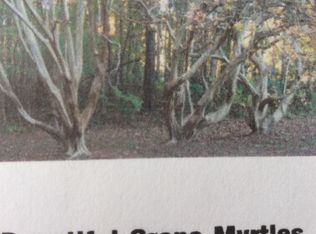 1505 Horsehead Branch Rd, Lugoff, SC 29078