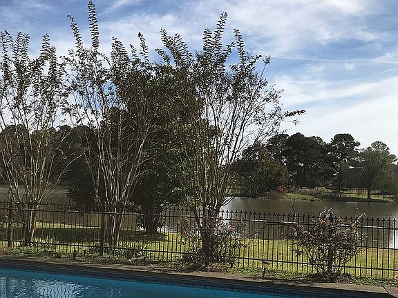 View of Crossgates Lake