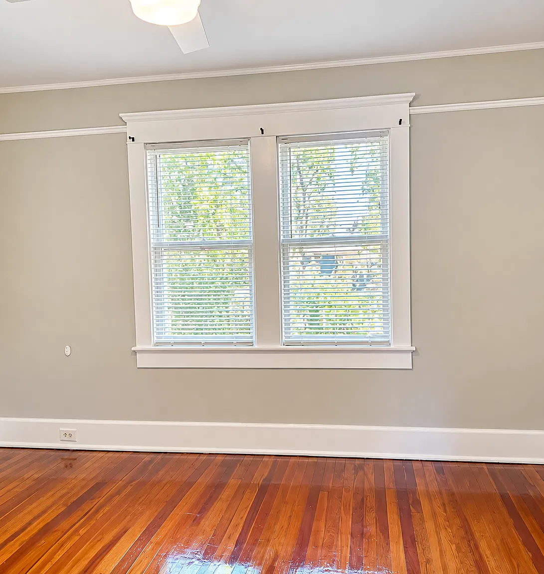 Bright and Airy large living room area with large walk-in closet.