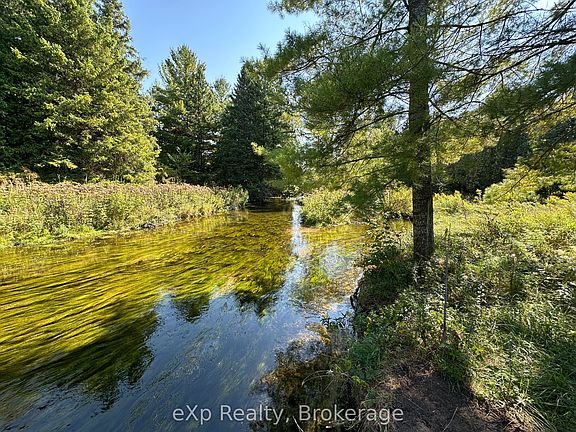 5th image of 133272 Allan Park Rd