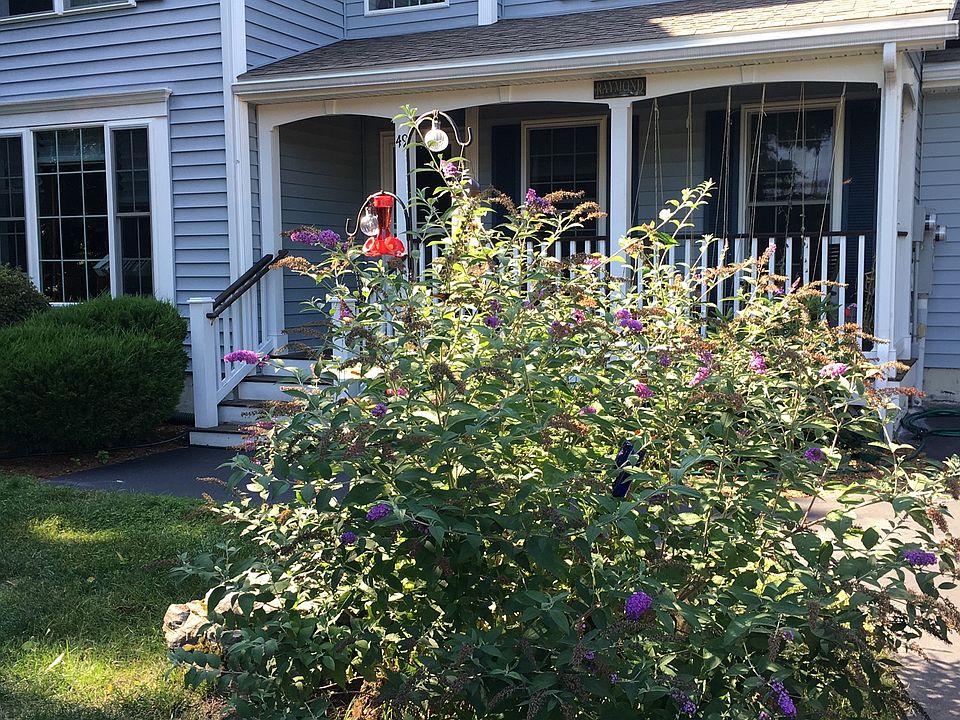 2nd image of 49 Olde Bridge Ln