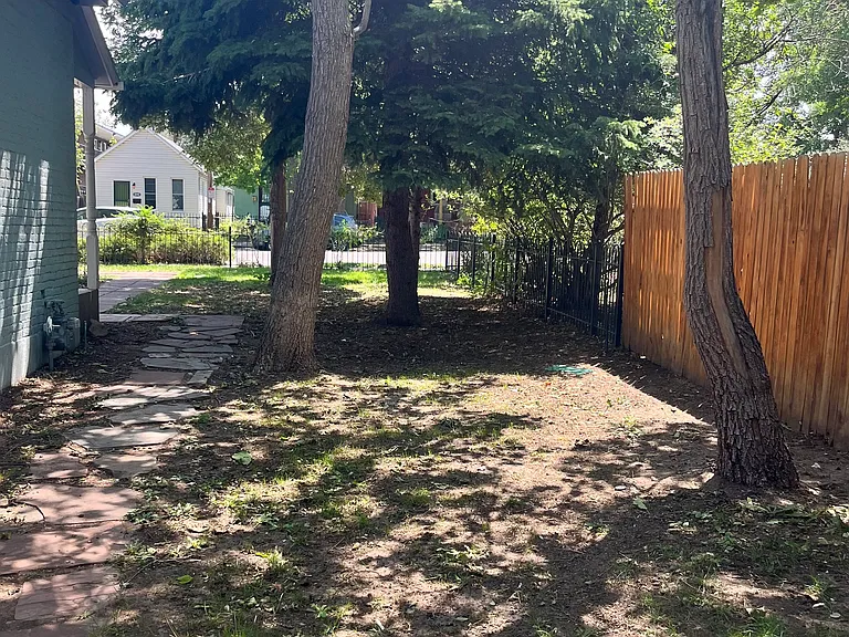 Side yard from patio
