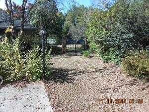 back yard