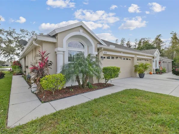 19240 BARRED OWL COURT, LAND O LAKES, FL 34638