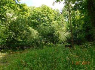 14293 Chief Rd, Bear Lake, MI 49614