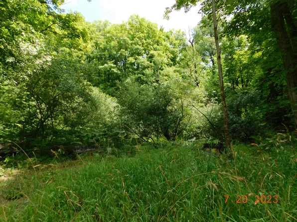 14293 Chief Rd, Bear Lake, MI 49614
