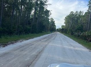1117 Piney Woods Trl LOT 1, Osteen, FL 32764
