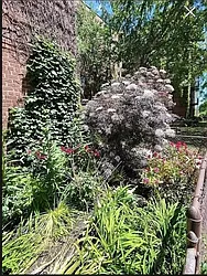 Rented by Queens Apartments Realty LLC