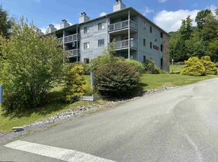 31 Beech Lodge Ct #234, Davis, WV 26260